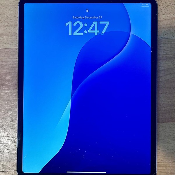 Apple iPad Pro 12.9 inch 6th Gen 2022 - Unlocked, 256 GB, Gray