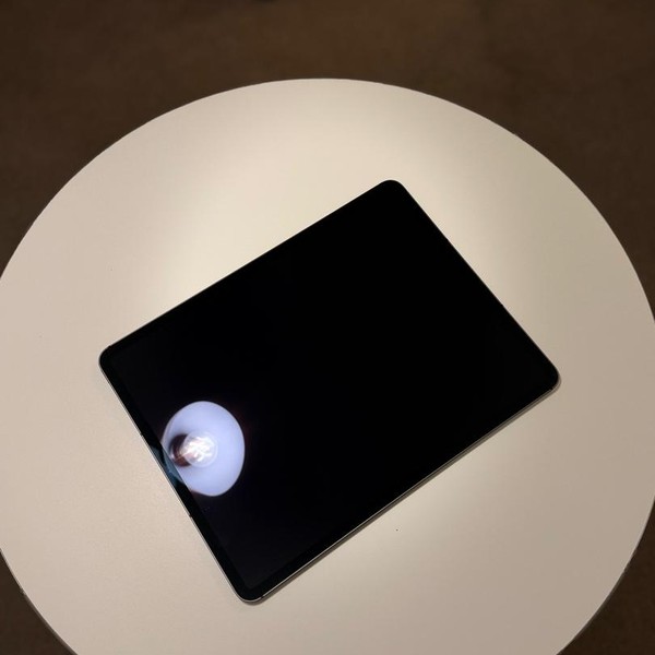 Apple iPad Pro 12.9 inch 5th Gen 2021 - Unlocked, 128 GB, Gray