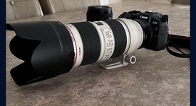 Mint
													Canon EOS R, photo 5 of 6
