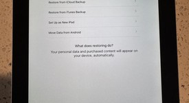 Mint
													Apple iPad Mini - Wi-Fi, Silver, 16 GB, photo 2 of 2