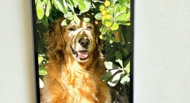 Good
													Apple iPhone 14 - Unlocked, Blue, 128 GB, A2649, photo 3 of 3