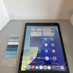 Good Apple iPad (9th Gen) - Unlocked, 256 GB, Gray, A2603