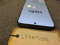 OnePlus 13