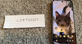 Fair
													Google Pixel 9 Pro - Unlocked, Hazel, 256 GB, 16 GB, GR83Y, photo 1 of 8