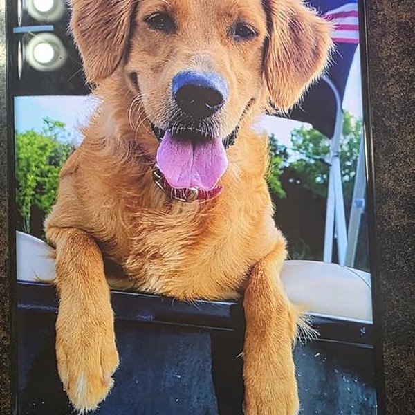 Samsung Galaxy S23 Ultra - Verizon, 512 GB, Black, 12 GB, SM-S918U