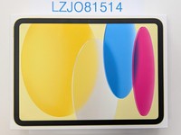 Apple iPad 11th Gen
