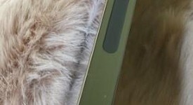 Good
													Apple iPhone 13 Pro Max - Unlocked, Green, 256 GB, A2484, photo 1 of 9