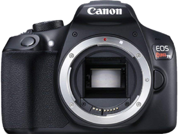 Canon EOS Rebel T6 for sale
