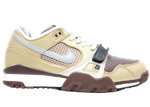  Nike Air Trainer 2 SB Metallic Gold/Reflect Silver