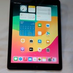 Good Apple iPad (6th Gen) - Unlocked, 32 GB, Gray, A1954
