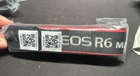 Mint
													Canon EOS R6 Mark II, photo 1 of 16