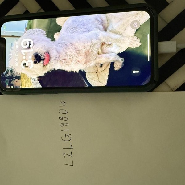 Apple iPhone 12 Pro - Verizon, 256 GB, Graphite, A2341