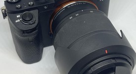 Mint
													Sony a7 II, photo 1 of 8