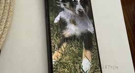 Good
													Apple iPhone 14 Pro Max - Unlocked, Black, 128 GB, A2651, photo 2 of 4
