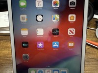 Apple iPad Mini 2 Retina