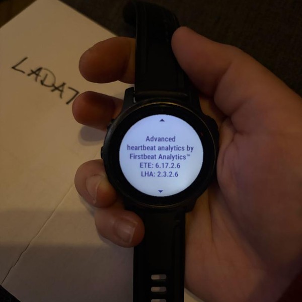 Garmin Fenix 6S - Black, Pro