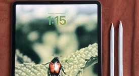 Mint
													Apple iPad Pro 12.9" 6th Gen 2022 - Verizon, Gray, 128 GB, photo 1 of 9