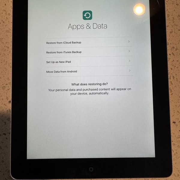 Apple iPad Mini - Wi-Fi, Silver, 16 GB