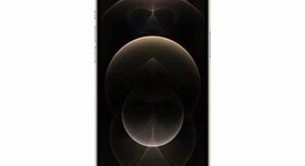 Mint
													Apple iPhone 12 Pro Max - Xfinity, Gold, 256 GB, A2342, photo 3 of 3