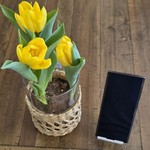 Mint Samsung Galaxy S23 Ultra - Spectrum, Black, 256 GB, 8 GB, SM-S918U