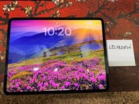 Apple iPad Pro 13" (M4) 2024