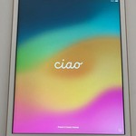 Good Apple iPad (8th Gen) - Unlocked, 32 GB, Silver, A2428