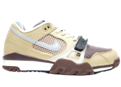 Air Trainer 2 SB Metallic Gold/Reflect Silver for sale