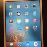 Good Apple iPad Mini - Wi-Fi, 16 GB, Silver