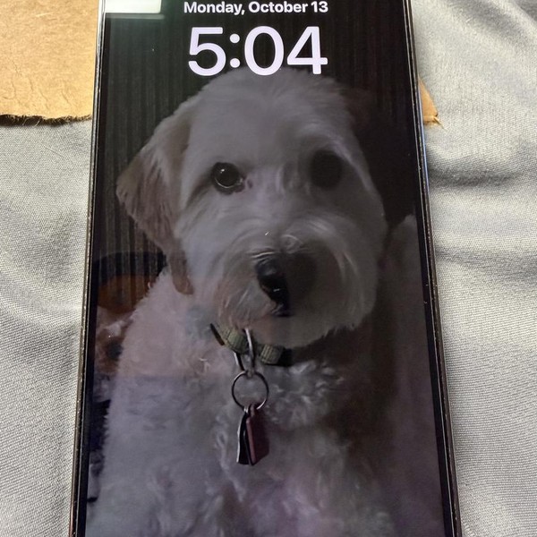 Apple iPhone 14 Pro - Unlocked, 256 GB, Silver, A2650