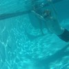 Seaborn111