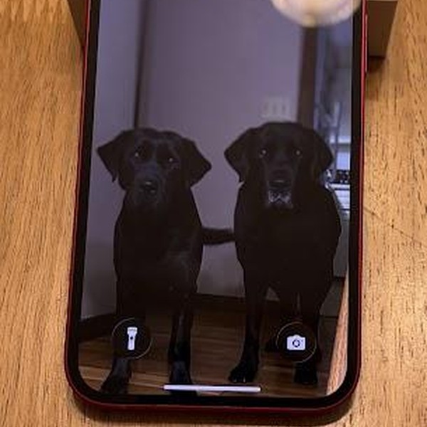 Apple iPhone 13 - Unlocked, 128 GB, Red, A2482