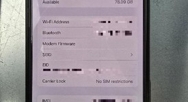 Good
													Apple iPhone 16 Pro Max - Unlocked, Desert, 256 GB, A3084, photo 3 of 7