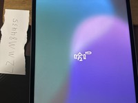 Apple iPad Pro 12.9" 6th Gen 2022