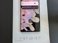 Google Pixel 6 Pro