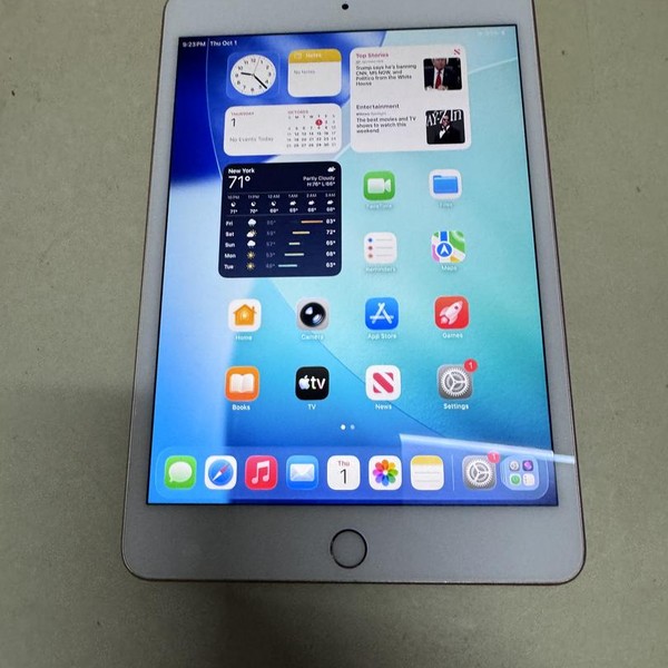 Apple iPad Mini (5th Gen) - Wi-Fi, 64 GB, Gold
