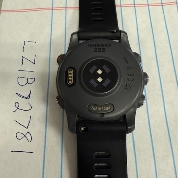 Garmin Forerunner 255 - Gray, Standard