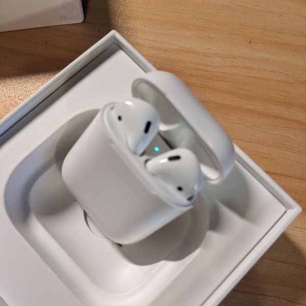 Apple AirPods (2nd Gen) - Lightning Case