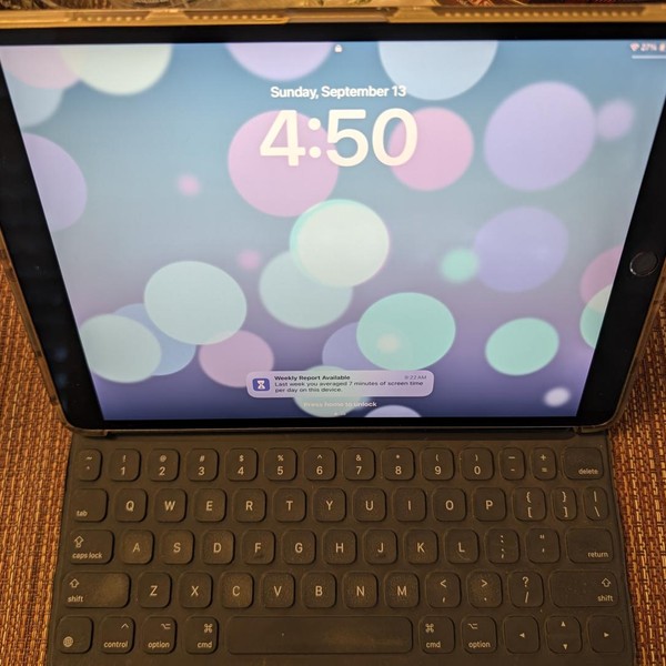 Apple iPad Pro 10.5 inch - Wi-Fi, 64 GB, Gray