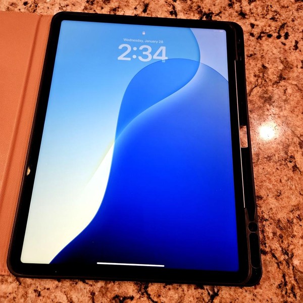 Apple iPad Pro 12.9 inch 5th Gen 2021 - Wi-Fi, 256 GB, Gray