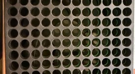 Good
													Xbox Series X (2020) - Black, 1 TB, standard, photo 3 of 8