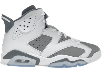 Jordan 6 Retro Cool Grey for sale