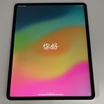 Mint Apple iPad Pro 12.9 inch 4th Gen 2020 - Wi-Fi, 1 TB, Silver, A2229