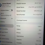 Mint Apple iPad (9th Gen) - Wi-Fi, 256 GB, Gray, A2602