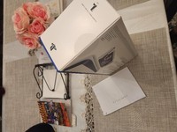 PlayStation Portal Remote Player