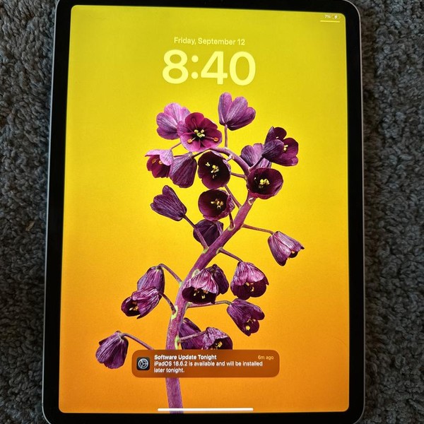 Apple iPad Pro 11 inch 2nd Gen 2020 - Verizon, 256 GB, Silver, A2068