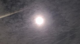 Fair
													Apple iPhone 15 Pro Max - Unlocked, Natural, 512 GB, A2849, photo 2 of 12