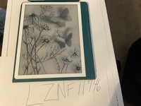 Amazon Kindle Scribe 10.2"