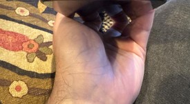 Good
													Apple iPhone 15 Pro - Unlocked, Blue, 256 GB, A2848, photo 5 of 23