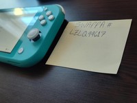 Nintendo Switch Lite