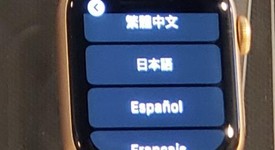 Mint
													Apple Watch Series 4 40mm - Unlocked, Gold, A1975 - Cellular, Aluminum, photo 3 of 8